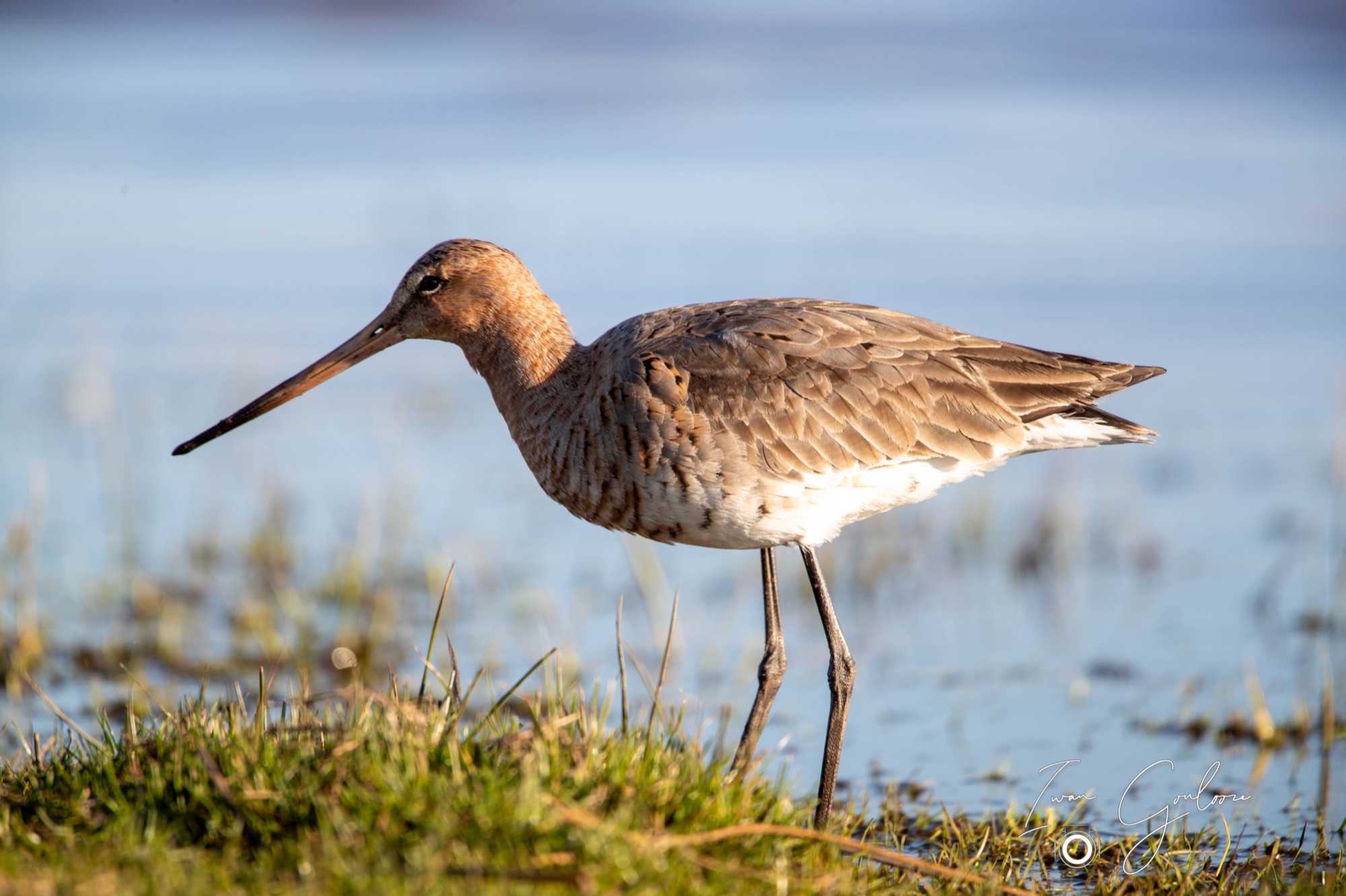 03 maart 2022 171810 1DX43435